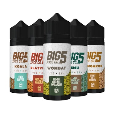 Big 5 shortfill 120ml