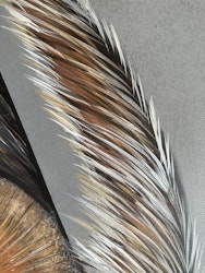 Price on request Oculus with wings 1