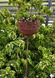 Marchallhållare blomsteräng