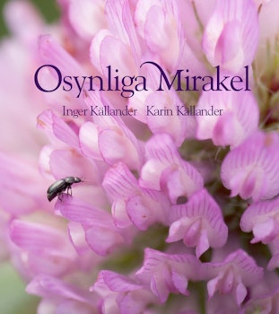 Osynliga Mirakel