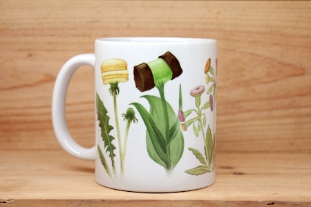 Mugg Kakblommor