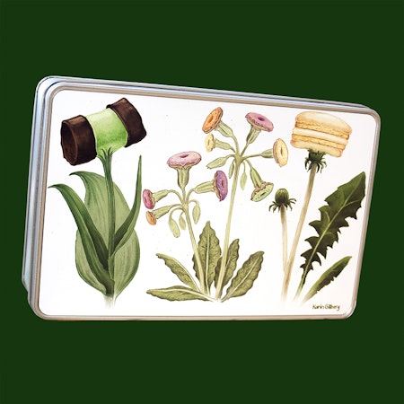 Burk Kakblommor