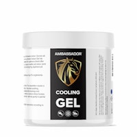 Kylande Gel (300ml)