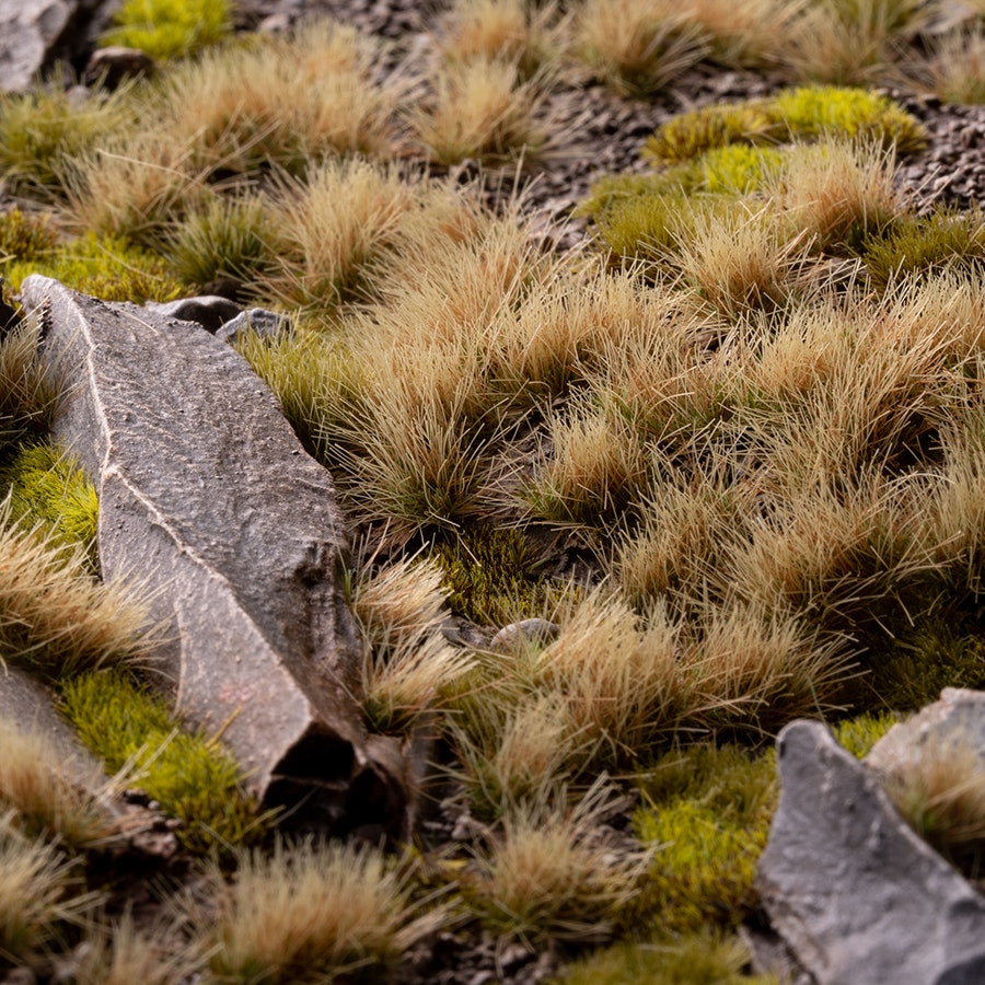 Autumn (5mm) - wild