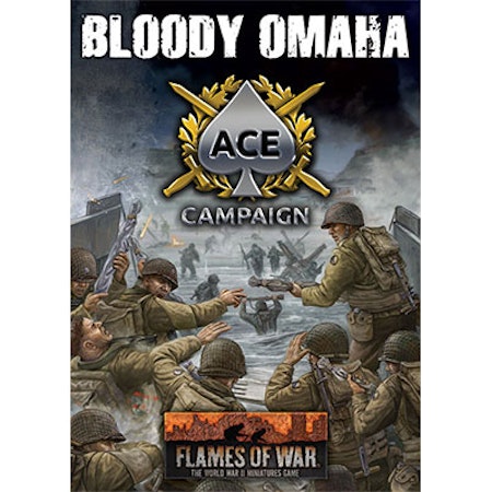 Bloody Omaha Ace Campaign - FW262B