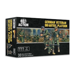 German Veteran Infantry Platoon - 402013103