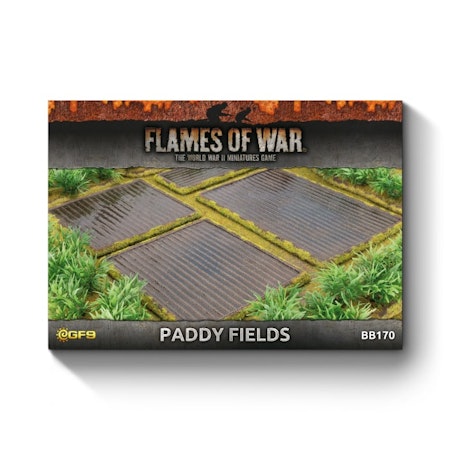Features: Paddy Fields (x4) - BB170