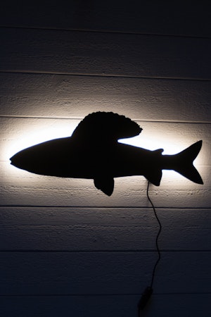 Vägglampa Fisk - Harr