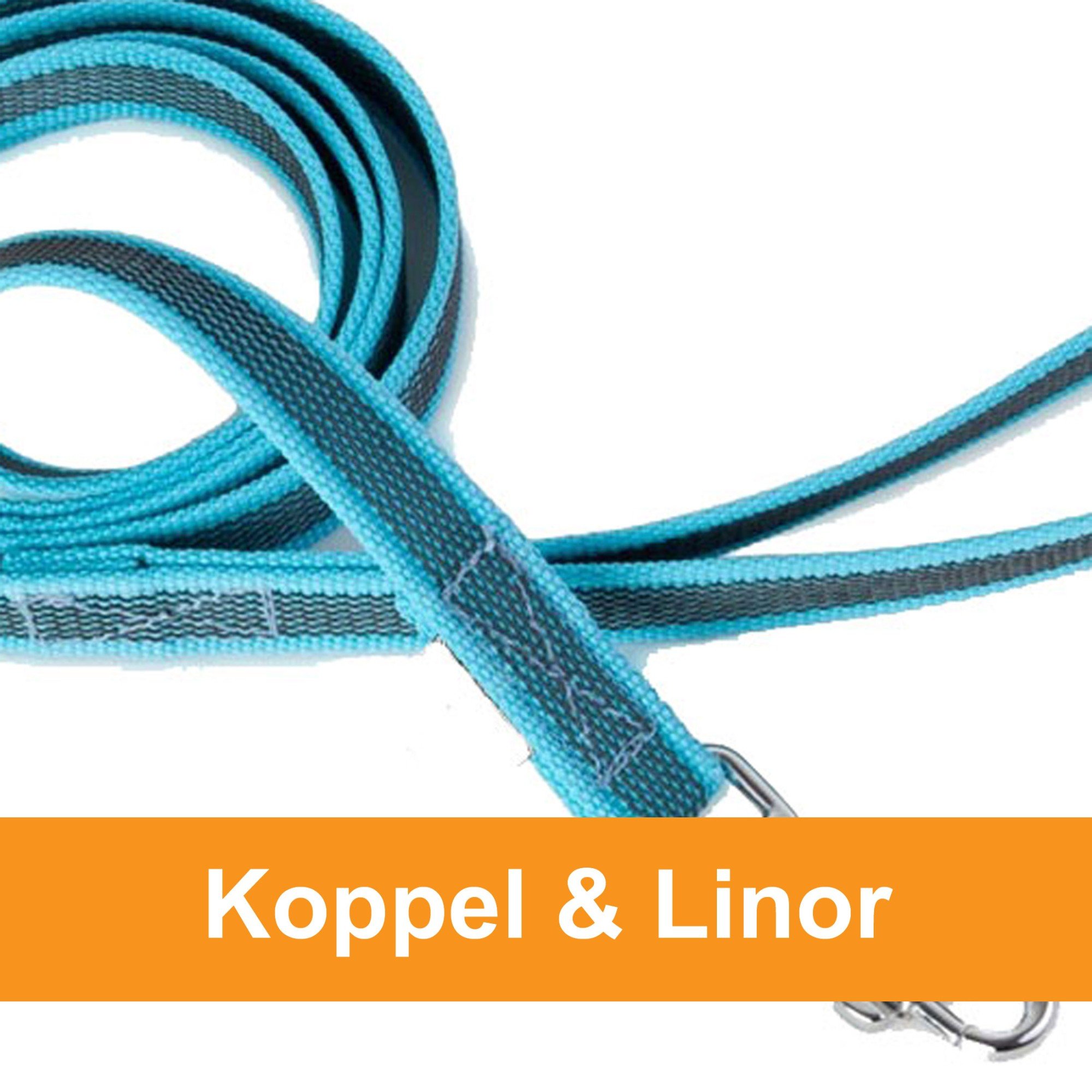 Koppel & Linor - MACH 4 Dogs