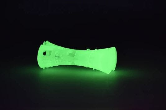 Glowing Bone Toy