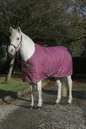 Bucas Freedom Stable - 300g : Raspberry - Forhåndsbestill nå!