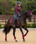 Premier Equine Sports Belegg