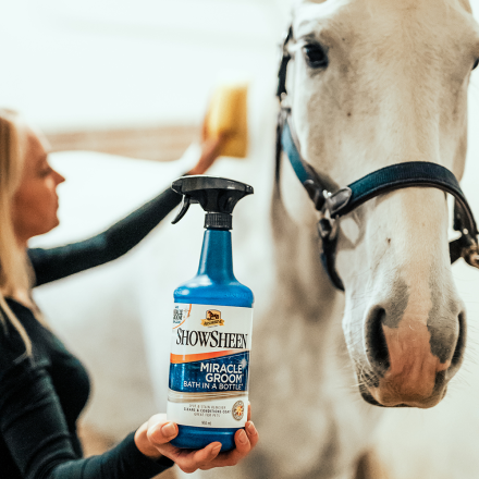 Absorbine Miracle Groom