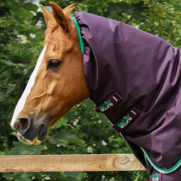 Premier Equine Buster 200g Utedekken med Snug-Fit Hals