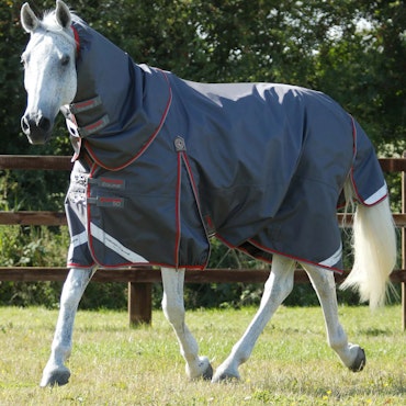 Premier Equine "Buster" Regndekken med Snug-Fit hals - 50g