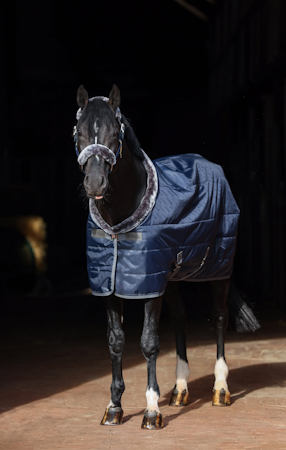 Bucas Show-Line Stalldekken - 150g