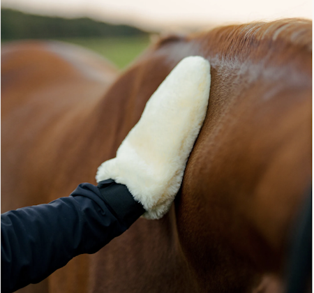 HS Grooming Hanske