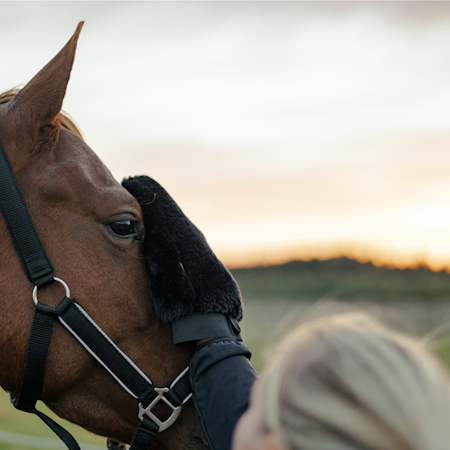 HS Grooming Hanske - Svart