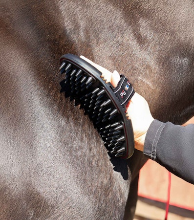 Premier Equine Flexi Massasjebørste