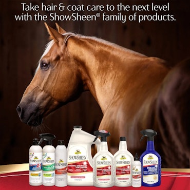 Absorbine 2in1 Shampoo & Conditioner