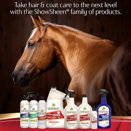 Absorbine 2in1 Shampoo & Conditioner