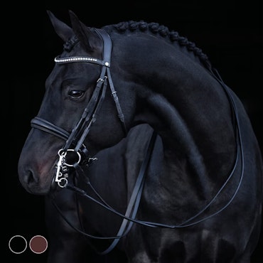 HS Kandar «Jaipur»