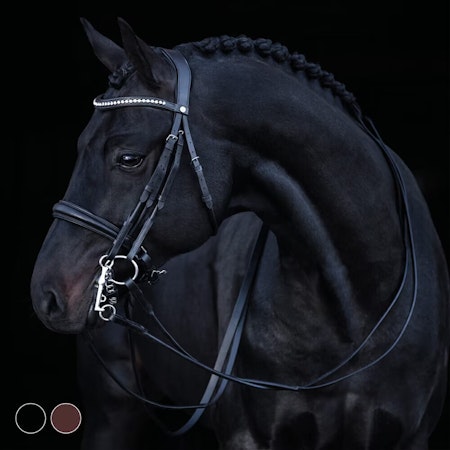 HS Kandar «Jaipur»