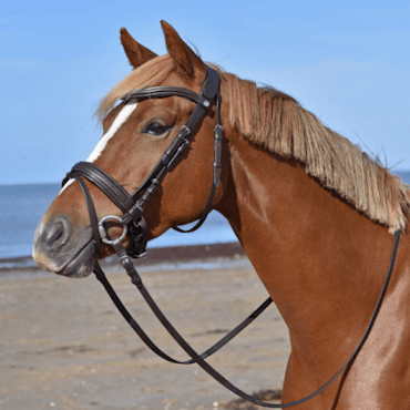 HS Hodelag «Janet»