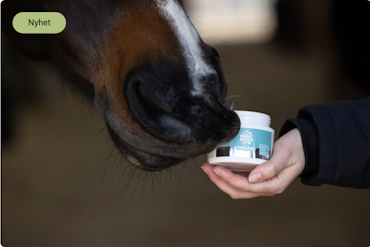 MagicBrush Lucky Lips - Leppomade til hesten
