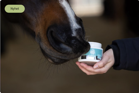 MagicBrush Lucky Lips - Leppomade til hesten