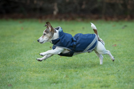 Bucas Freedom Dog Rug