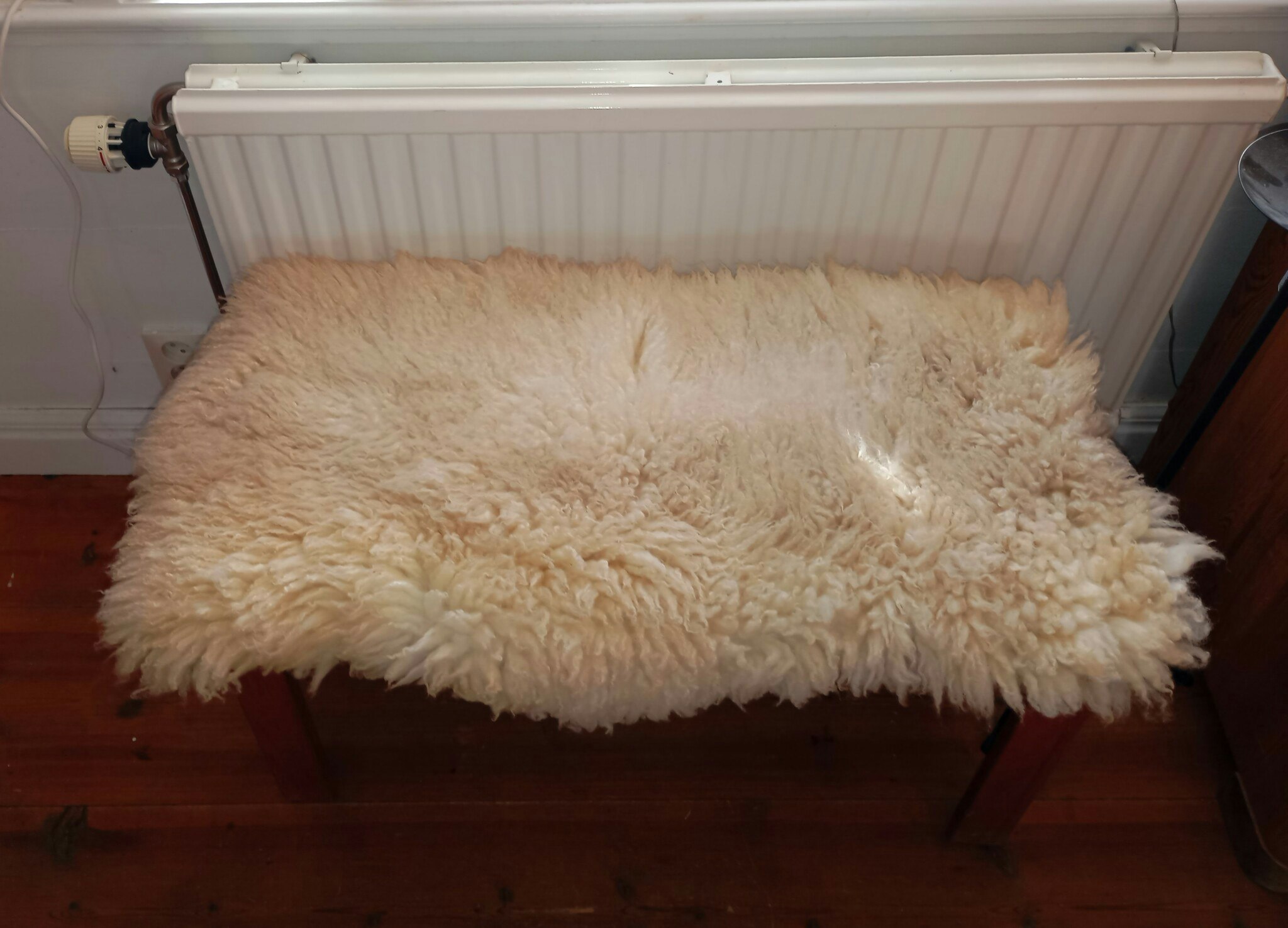 Fårskinn i ljust beige med våffel-lockar