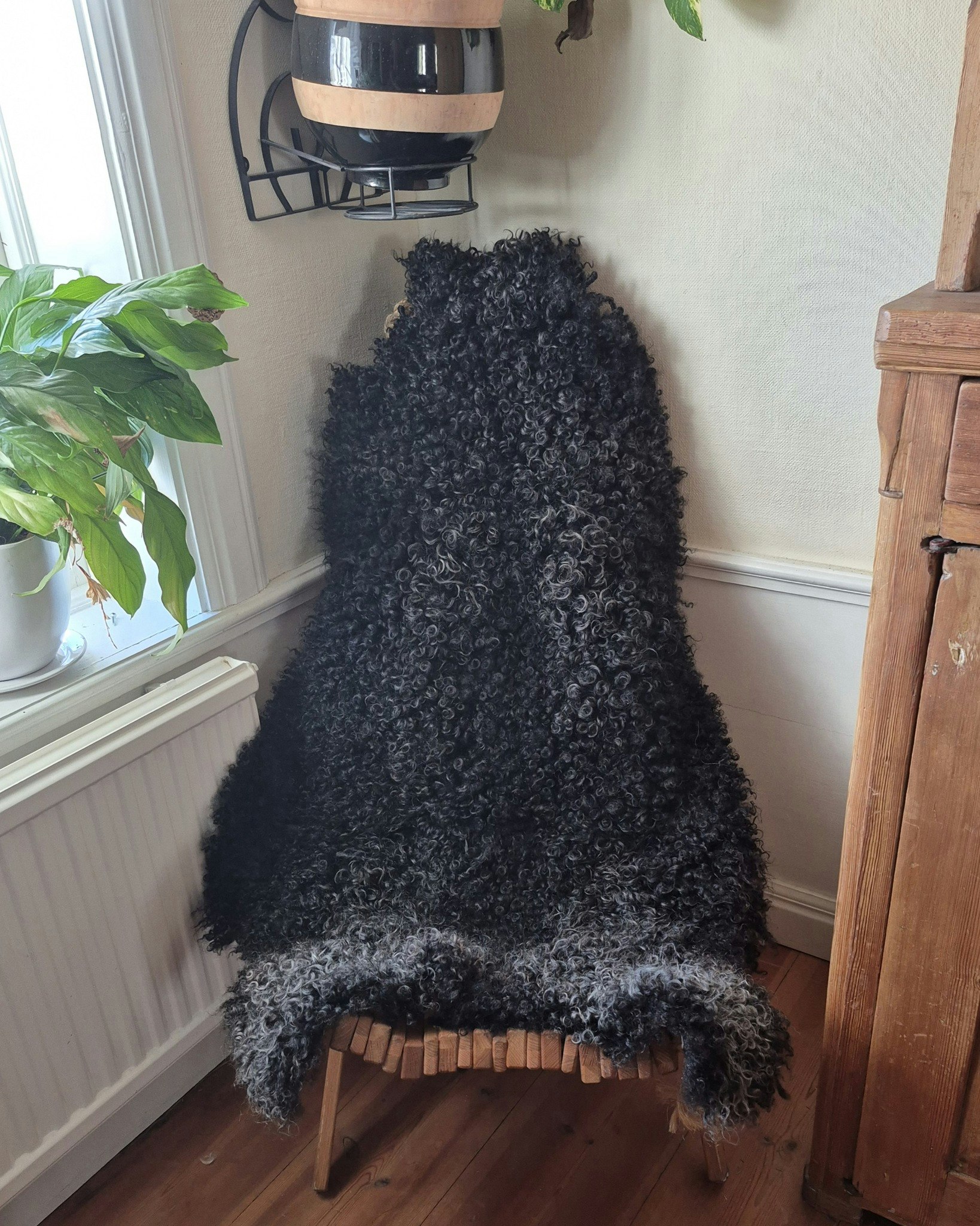 Stort grå/svart fårskinn med täta lockar.