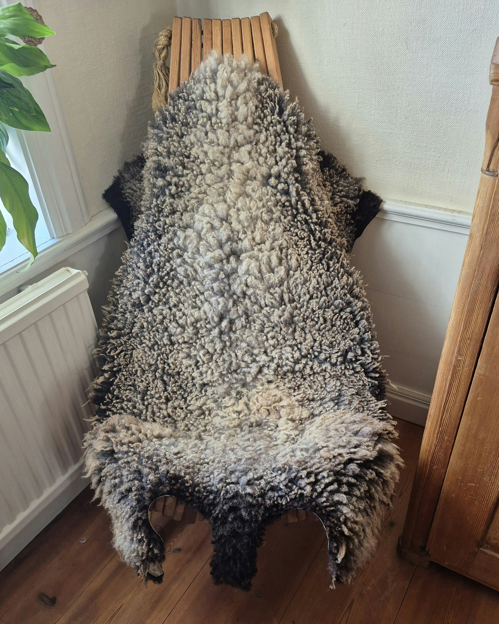 Fårskinn med kort grå/brun päls och mörkbruna kanter.