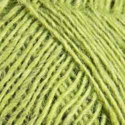 Fjallalopi - 3032 rockweed