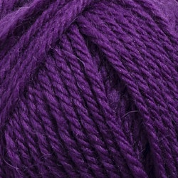 Raggi 100 g - 15179 deep plum