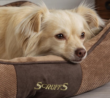 Scruffs Chester Box Bed (L), 75 x 60cm, Chocolate