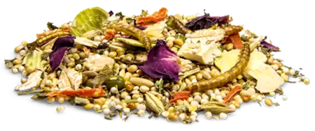 BunnyNature, DvergHamsterDream EXPERT 500g