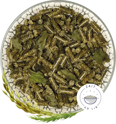 BunnyNature GuineaPigDream BASIC marsvinmat 600g