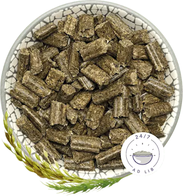 BunnyNature RabbitDream kaninmat 1,5kg