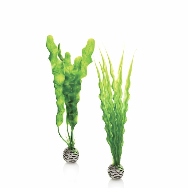 biOrb Easy plant set M green