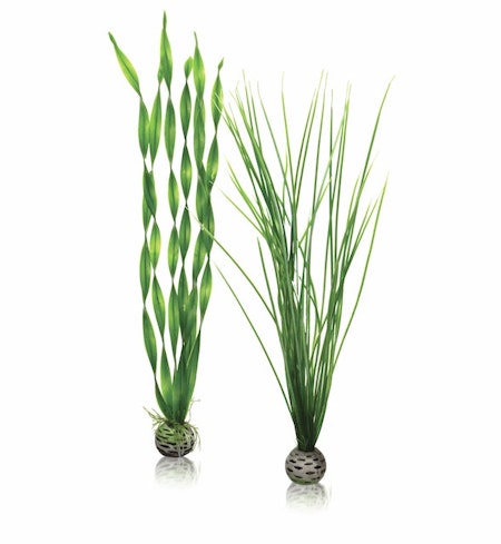 biOrb Easy plant set L green