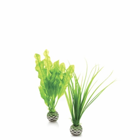 biOrb Easy plant set S green