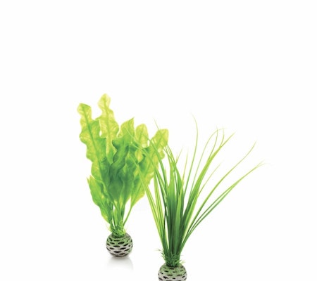 biOrb Easy plant set S green