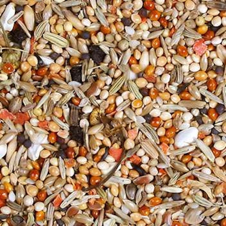 JR-FARM Birds Individual Parakitt blanding 1kg