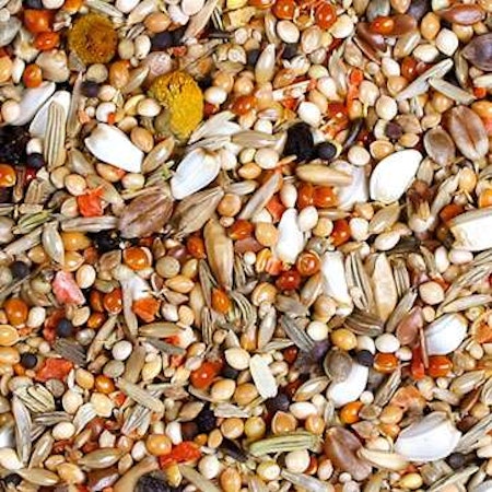 JR-FARM Birds Individual Dvergpapegøye blanding 1 kg