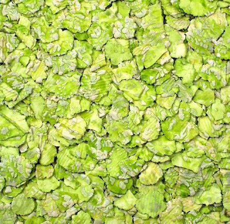 Jr Farm erteflak 200G