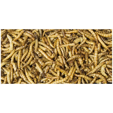 Jr Farm Garden spann med melormer 400g