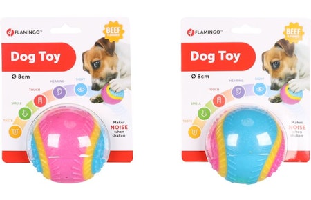 5 SENSES BALL 8CM