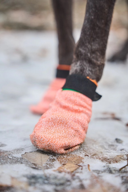 Non-Stop Protector Light Socks potesokk, Orange, 4Pk